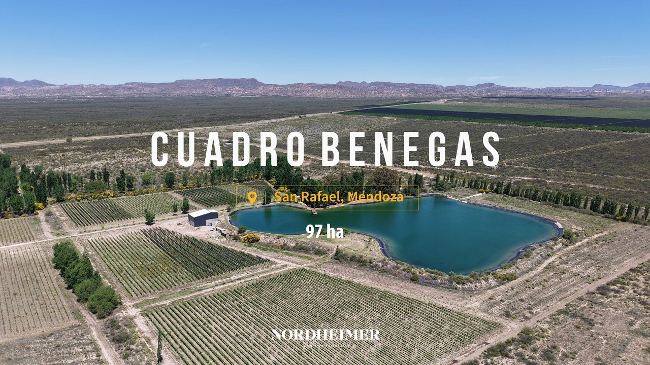 Cuadro Benegas, San Rafael, Mendoza - 97 ha | Campo en venta