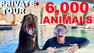 Private Tour Of Arizona's *LARGEST* Zoo!