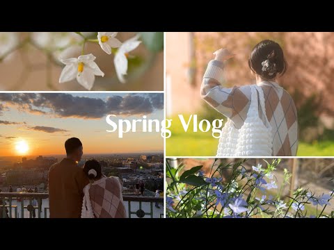 Spring Vlog | Enjoy nice weather in Montreal, watching sunset in Mount Royal 🌸⛅️