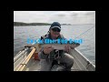 Dry fly fishing on grafham water