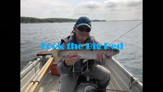 Dry fly fishing on Grafham Water