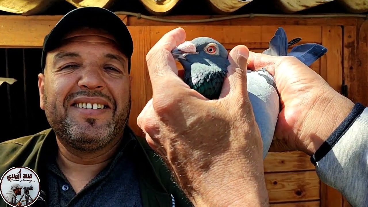 Новое видео легенды Лакрда Абдула Рахима 01/05/2025