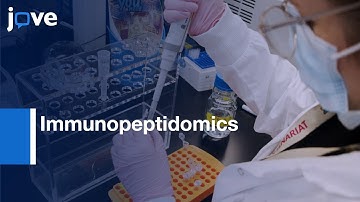 MS Analysis of MHC Class I- and II Peptides : Immunopeptidomics | Protocol Preview