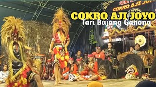 Full non stop aksi salto Bujang ganong Barongan Cokro Aji Joyo || Gas Deso Tempellemahbang 2022