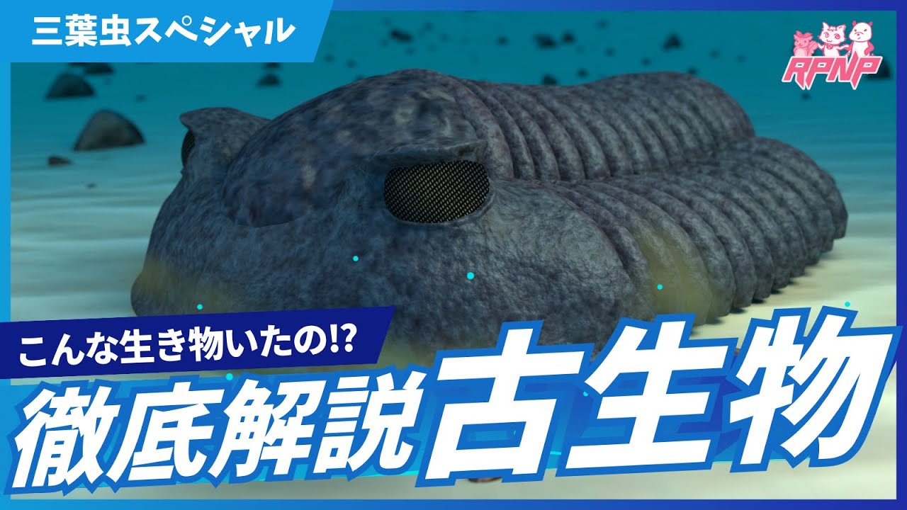 古生物学】RPNP古生物学ニュース「三葉虫スペシャル」#論文解説 #学術