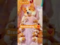 Breastfeeding 🥺 #shortvideo #corgi #ytshorts