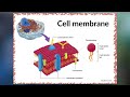 The Cell