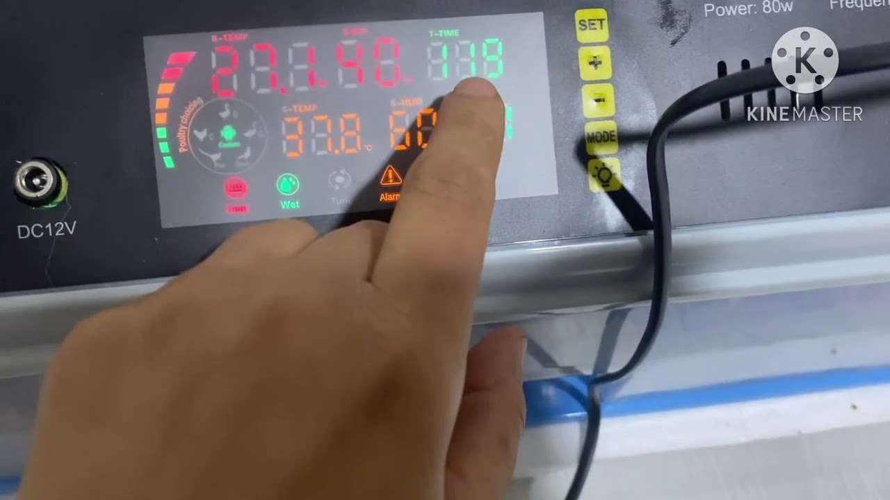 هەموو زانیاریەکان دەربارەی مەقفەس و تروکانی هئلکە egg incubator