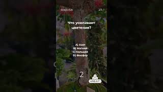 Проверь свои знания об удобрениях для каннабиса #shorts