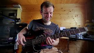 'I've Been Down' Haim (2020) Bass Cover
