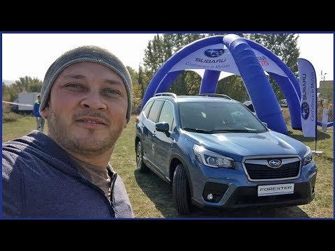 Форестер для пикника