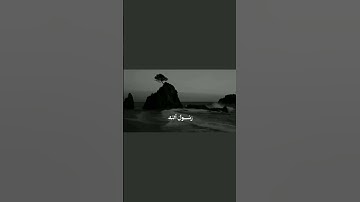 راحة نفسية _ تعرفون اسم القارئ؟ 😴🤍 #القرآن_الكريم