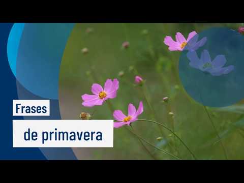 Frases de Primavera
