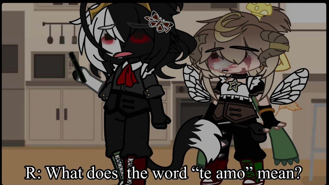 what-does-te-amo-mean-c-romanticbeeduo-skit-meme-youtube