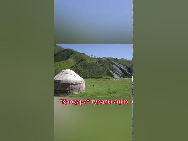 HD порнодағы шаш үлгілері