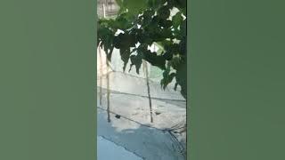 Hayo siapa yang pernah naik getek pasti pertama kalinya penasaran/takut😆