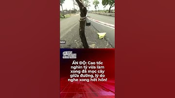 ẤN ĐỘ: Cao tốc nghìn tỷ vừa làm xong đã mọc cây giữa đường, lý do nghe xong hết hồn!