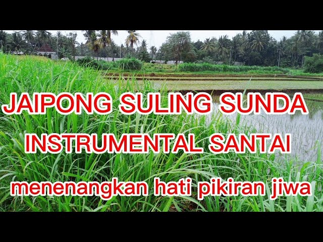 JAIPONG SULING SUNDA // JAIPONGAN class=