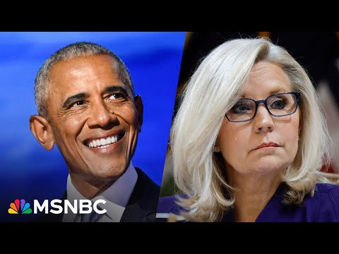 ‘Cheney and Obama’: Broad coalition of massive surrogates hit the campaign trail for VP Harris 