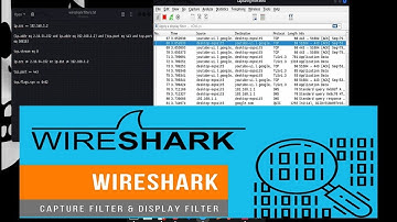 Wireshark - Capture Filters