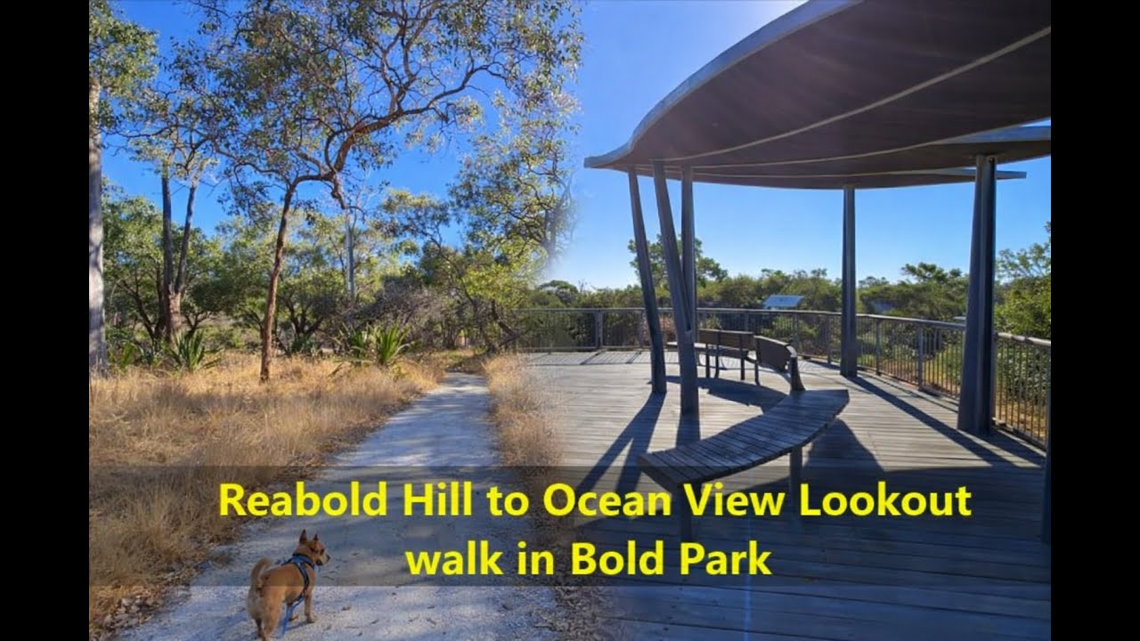 Reabold Hill to Ocean View Lookout walk in Bold Park with Chiqui the dog. Perth, Australia.