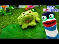 Fizzy and Phoebe Explore About Frog Cycles | Fun Videos For Kids