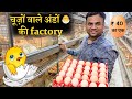 9000 ब्रॉईलर ब्रीडर और महीने का 1 करोड़ रुपए   !! Fully automatic poultry farm By Gartech