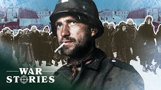 How Disaster At Stalingrad Gutted Hitler's Attempt To Conquer Russia | Battlezone | War Stories