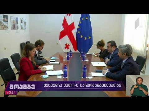 ლაშა დარსალია ეუთო-ს წარმომადგენლებს შეხვდა