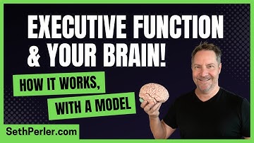 🧠 Executive Function and your BRAIN! How it works, with a model.