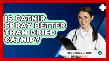 Is Catnip Spray Better Than Dried Catnip? - PetGuide360.com