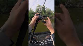 Skipping a Magdraft freestyle 5”.                  #fishing #megabass #magdraft