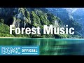 Forest Music: Loose Relaxing Music - Slow and Smooth Background Music for Work, Study and Read