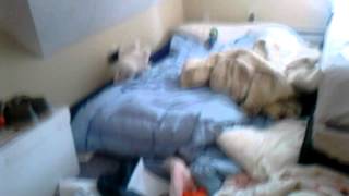 Luigi Gets Hurt A Lot