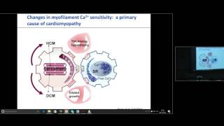 "Engineering Heart Tissue for In Vitro Testing & Cardiac Repair" - Prof. Dr. Med. Thomas Eschenhagen
