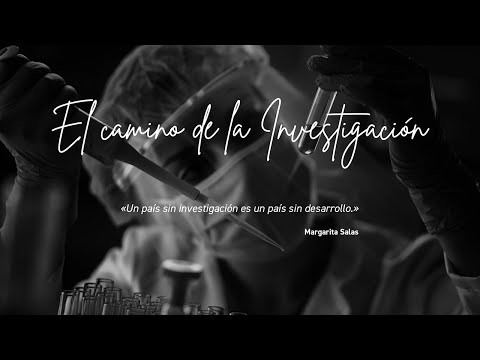 En Fundación MAPFRE creemos en la investigación como herramienta para que la sociedad avance