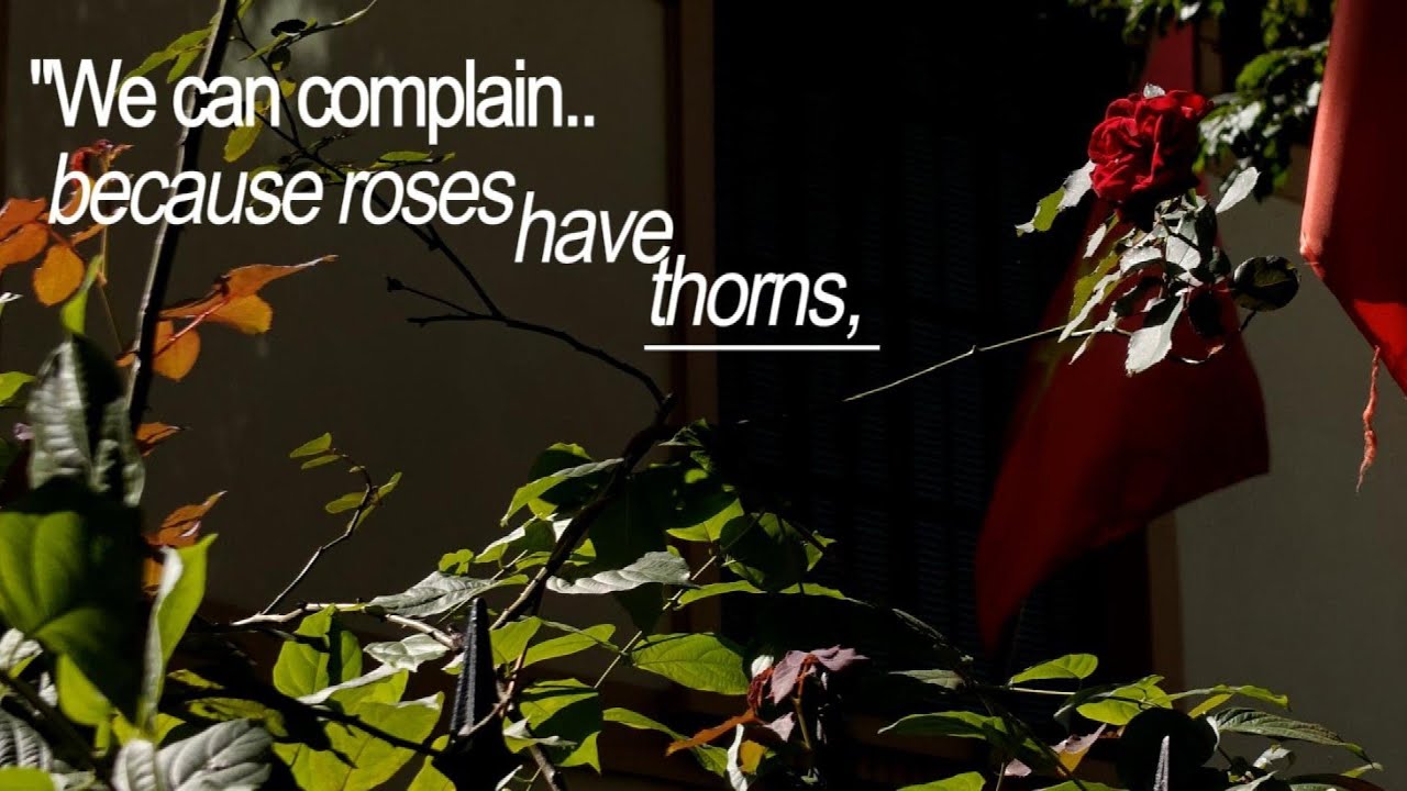we can complain because roses have thorns.. (Short film)