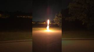 Donnie TMNT 100 Shot Firework