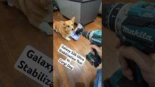 Samsung Galaxy S26 Ultra Stabilization Test - Corgi Dog Edition