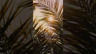 🌊 Beautiful Sea Beaches &amp; Deep Blue Ocean | Guliakhali, Digha, Mandarmani &amp; World Seas