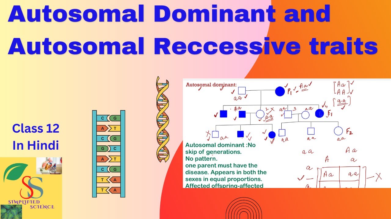 Autosomal disorders ||Autosomal dominant and Autosomal Recessive traits