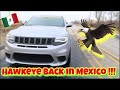 HAWKEYE 1st TRIP TO MEXICO WENT LIKE THIS !!!!!