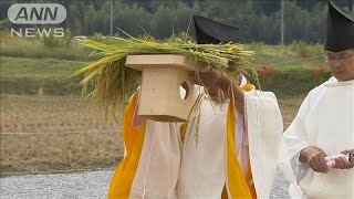 大嘗祭で使う米収穫　栃木、京都で「斎田抜穂の儀」(19/09/27)