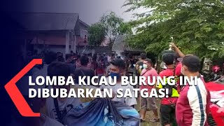 Langgar Protokol Kesehatan, Lomba Kicau Burung hingga Pesta Pernikahan Ini Dibubarkan Satgas