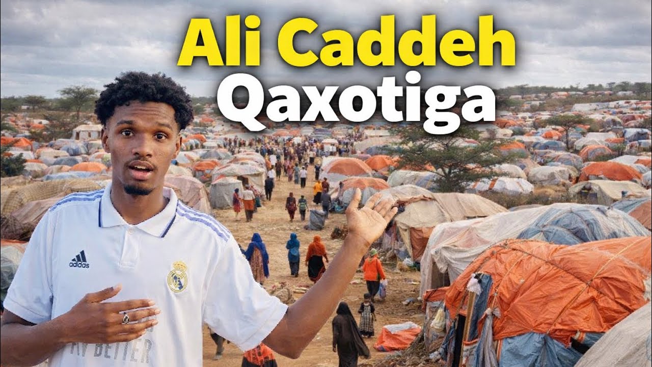 Ali cadedeh wax kuu Nool Qaxotika ugu badan Djibouti 🇩🇯!