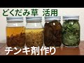 【薬草活用】どくだみで2種類のチンキ剤作り｜化粧水・虫さされスプレーの材料！＜田舎暮らし＞