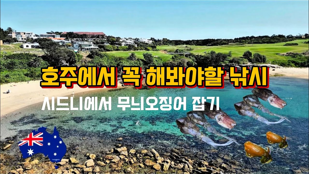 호주에서 무늬오징어 잡아봤어?