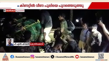 കിണറ്റിൽ വീണ പുലി കുടുങ്ങി; താമരശ്ശേരി റേഞ്ച് ഓഫിസിലേക്ക് പുലിയെ മാറ്റി | Kozhikode | Leopard