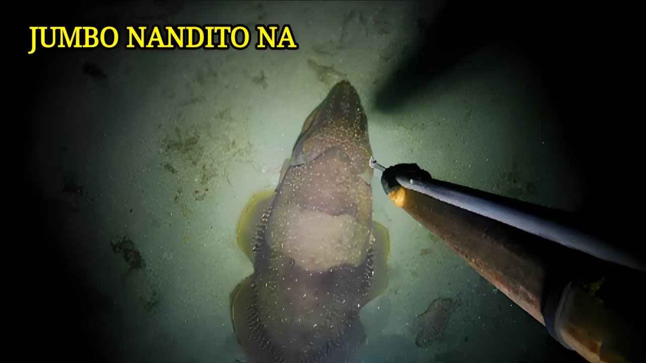 EP 444:  MALAKI  NAGPAKITA NA