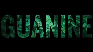 WHAT IS : GUANINE